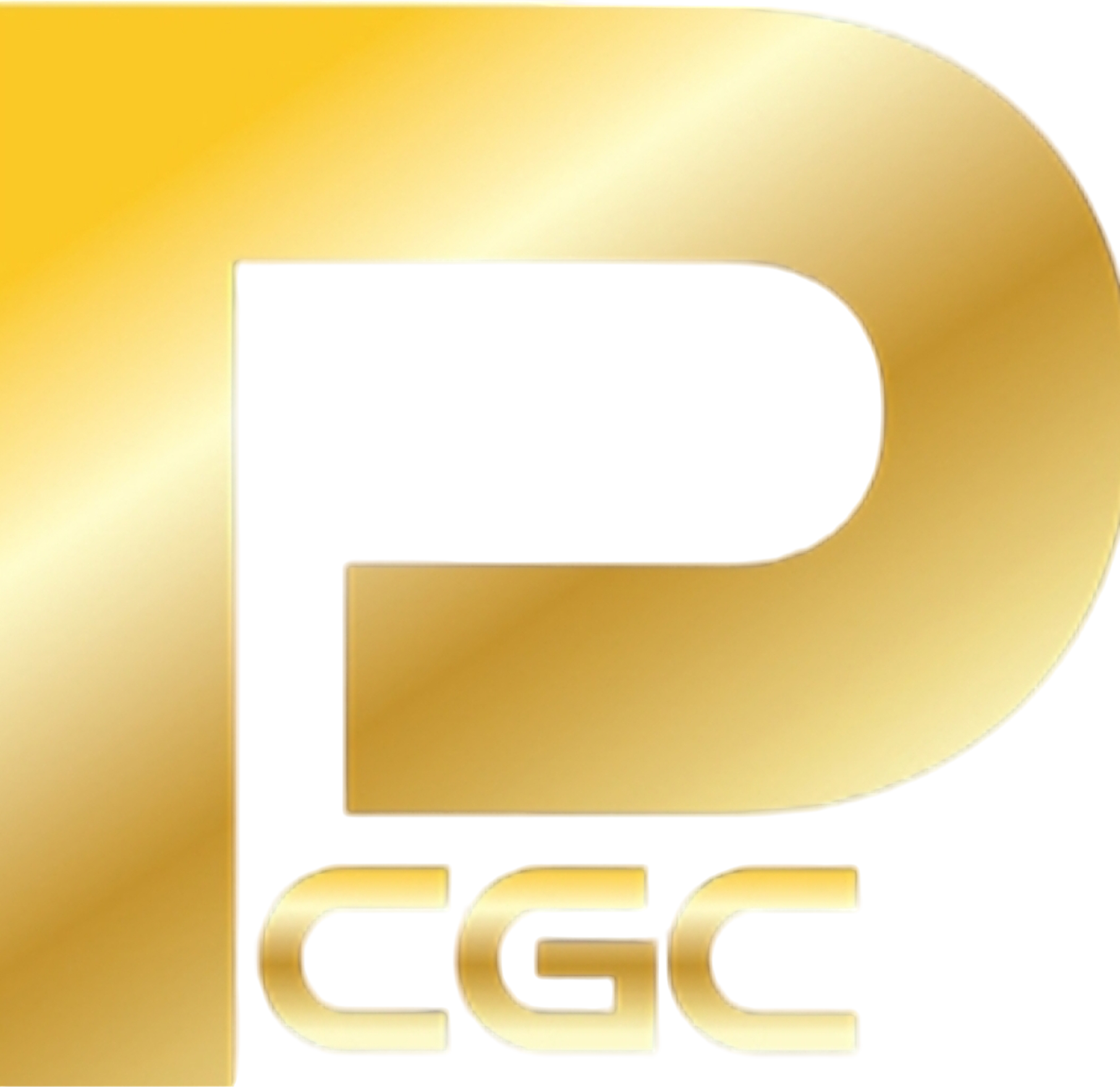 Paramount Construction, LLC logo